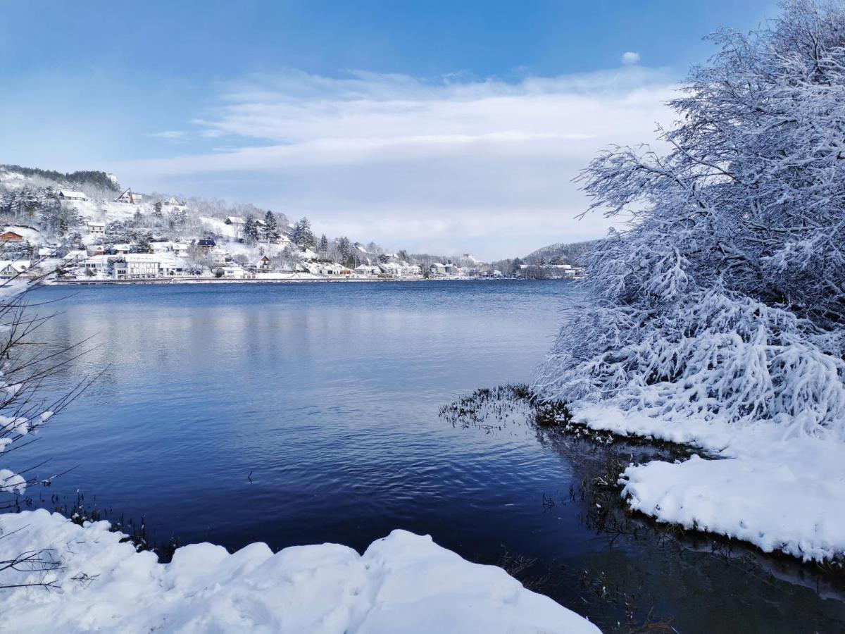 Chalet Entre Lac Et Volcan Murol Dış mekan fotoğraf